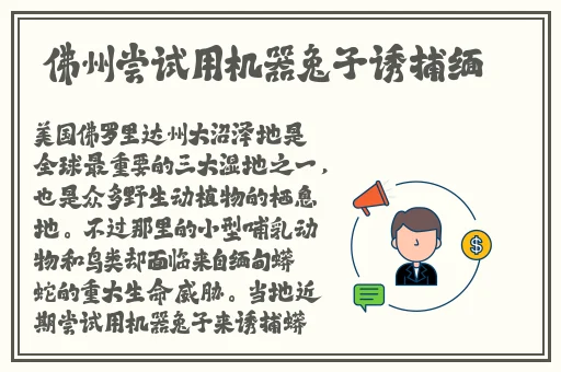 嘼皇Ⅴideos3D极品另类